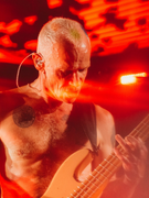 Náhledový obrázek k článku Red Hot Chili Peppers ve Star Wars. Flea si zaletěl do předaleké galaxie