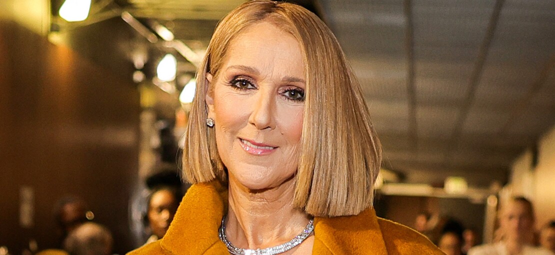 Obrázek k článku „Když nebudu moci chodit, poplazím se.“ Céline Dion v dokumentu přiblíží boj s nemocí